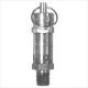 Dixon SV100 Standard Safety Pop Off Valve